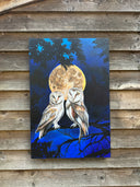 Twin flame owls